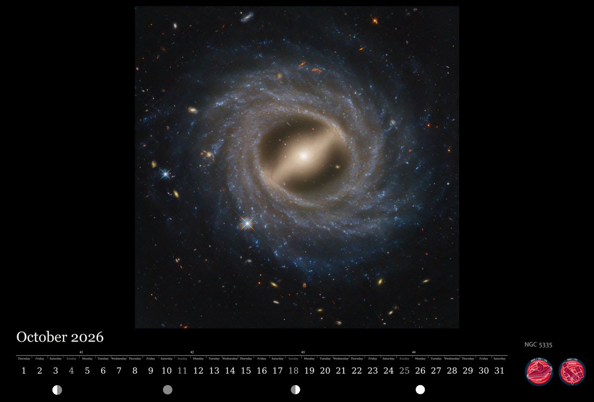 ESA_Webb's tweet photo. In the 2026 ESA/Hubble and ESA/Webb calendar, the month of October features the flocculent spiral galaxy NGC 5335. It has patchy streamers of star formation across its disc 🌟 and a bar structure slicing across its centre!

Ready to print .pdf here: https://t.co/raDi8UQbv9 

📷 @NASA , @ESA ,  STScl