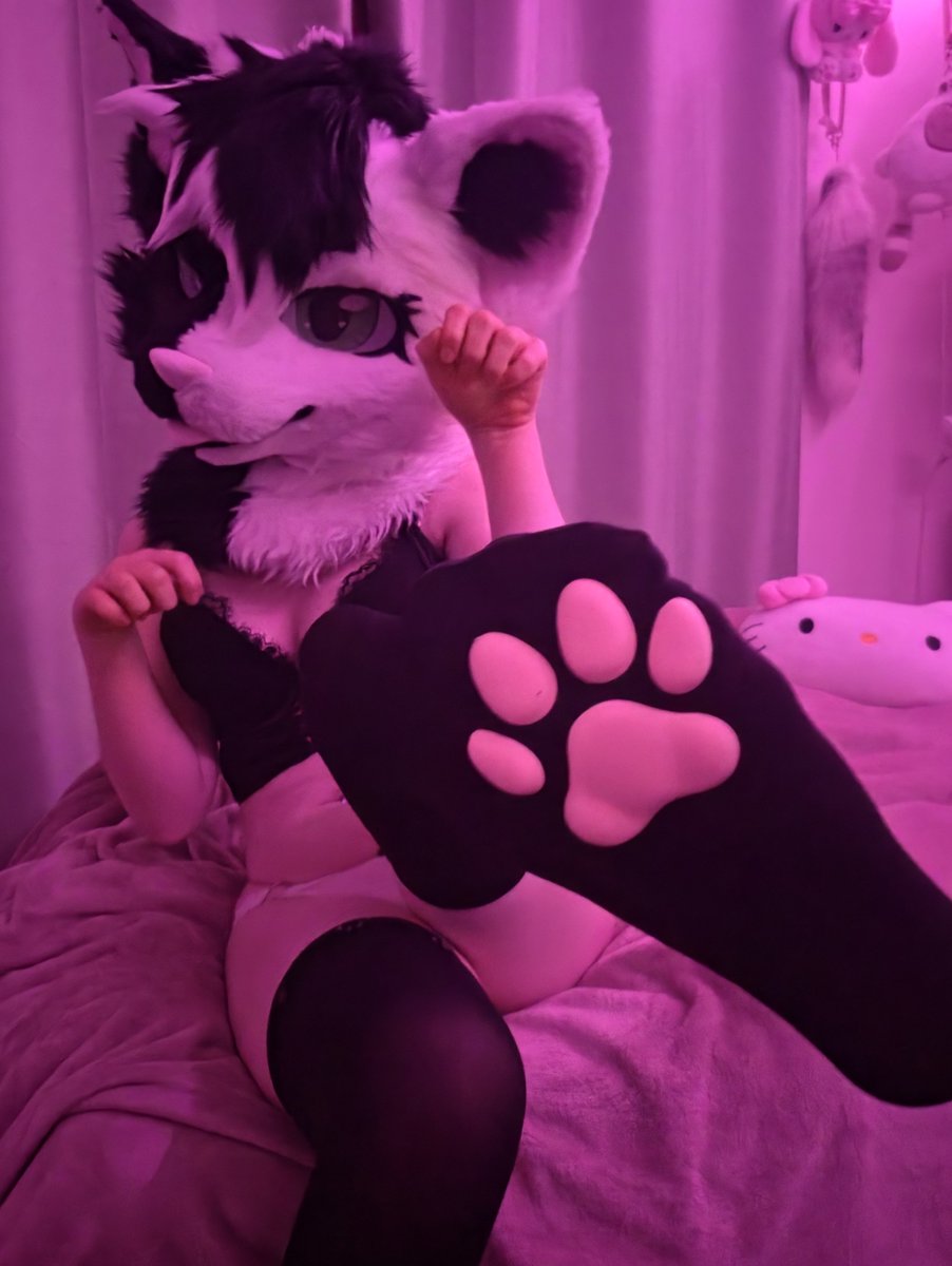 w1shkei's tweet photo. lick my paws loser

#furry #fursuit #murrsuit #furrygirl #nsfwtwt https://t.co/CExK0UaJ7I