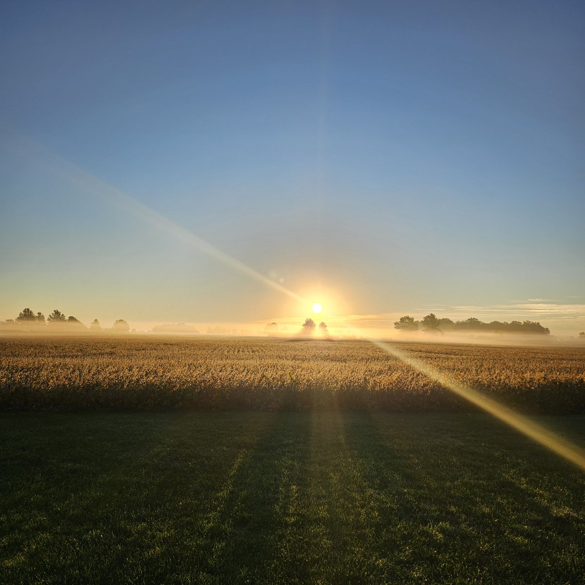 JoeMelajoe65's tweet photo. To be real and authentic. This was from a couple of days ago. Real American owned farmland viewed from my back yard. Hope this doesn't offend anyone!! ๐ค๐๐ฏ๐โค๏ธ๐บ๐ธ๐บ๐ธ๐บ๐ธ๐บ๐ธ๐บ๐ธ๐บ๐ธ๐บ๐ธ๐บ๐ธ๐บ๐ธ๐บ๐ธ๐บ๐ธ๐บ๐ธ๐บ๐ธ๐บ๐ธ๐บ๐ธ๐บ๐ธ๐บ๐ธ๐บ๐ธ๐บ๐ธ๐บ๐ธ๐บ๐ธ๐บ๐ธ๐บ๐ธ๐บ๐ธ๐บ๐ธ๐บ๐ธ๐บ๐ธ๐บ๐ธ๐บ๐ธ๐บ๐ธ๐บ๐ธ๐บ๐ธ๐บ๐ธ๐บ๐ธ๐บ๐ธ๐บ๐ธ
#AmericanJOE #TheFreedomFactor https://t.co/WJlq84rwx6