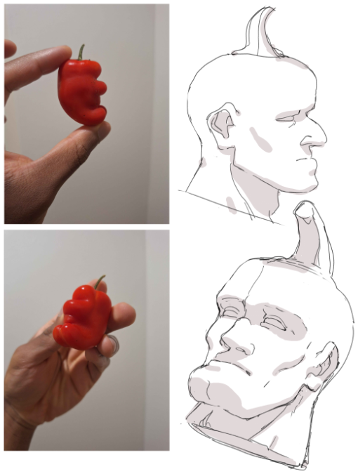 bomberbossart's tweet photo. got a funny pepper from the store the other day https://t.co/mJhZyaRaBE