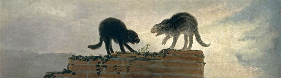 bijutsufan's tweet photo. フランシスコ・デ・ゴヤ『猫の喧嘩』1786-1787年 プラド美術館 https://t.co/MdbaJfVQnS