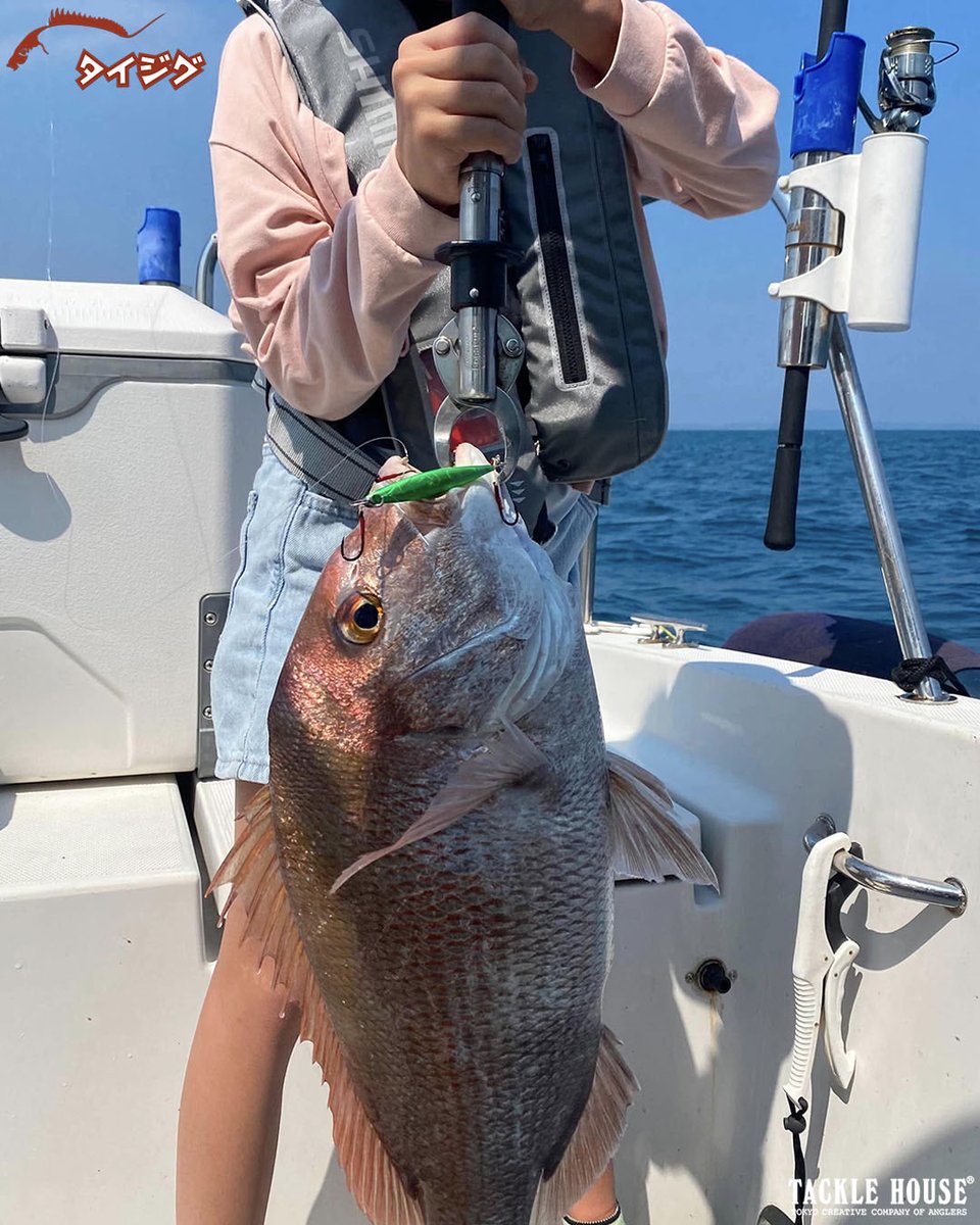 tacklehouse's tweet photo. フィールドレポートを更新。福岡県の久田テスターより。
【親子初めての釣り。タイジグスリムで大鯛連発!】
https://t.co/SYLCiDstIa
タングステンジグの高騰も後押しとなって、人気再燃中のタイジグシリーズ!
#タックルハウス #tacklehouse #madeinjapan #タイジグスリム #伊万里湾 https://t.co/YNTzDD301u