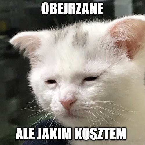 karol_klat's tweet photo. @Zero2Turbo @kero_wolf https://t.co/vIUanalJ7r
