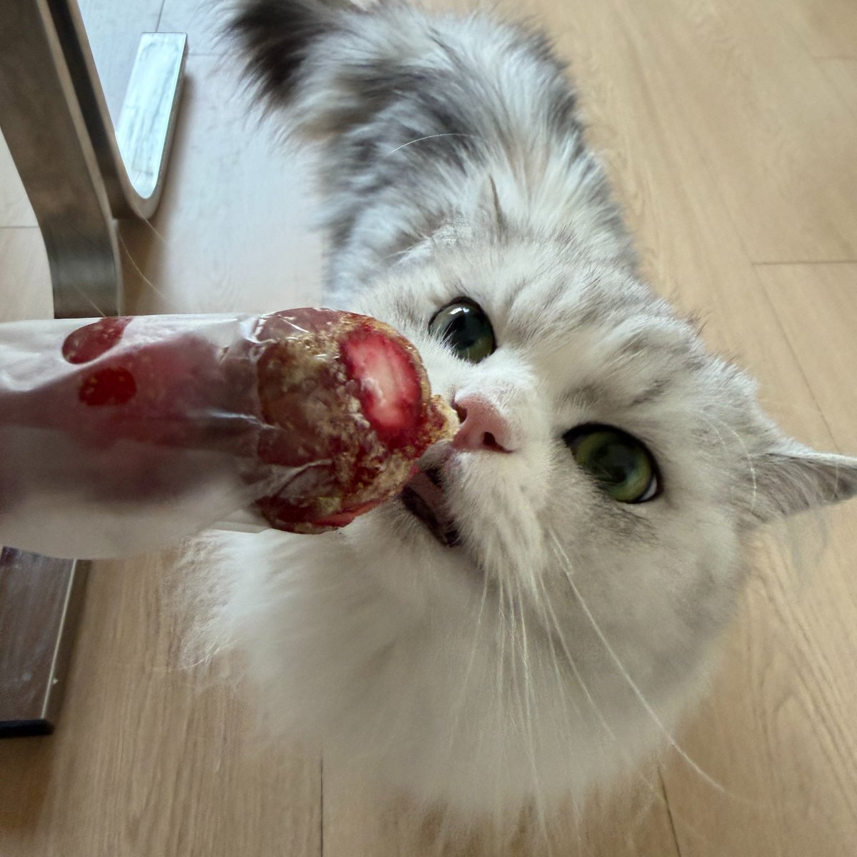 cherryxiaoyiii_'s tweet photo. the gorgeous foodie wants to eat the tanghulu too~

🌧: Dudiu is really so beautiful
🌧: She keeps asking me for snacks https://t.co/Vp0kHHU8XC