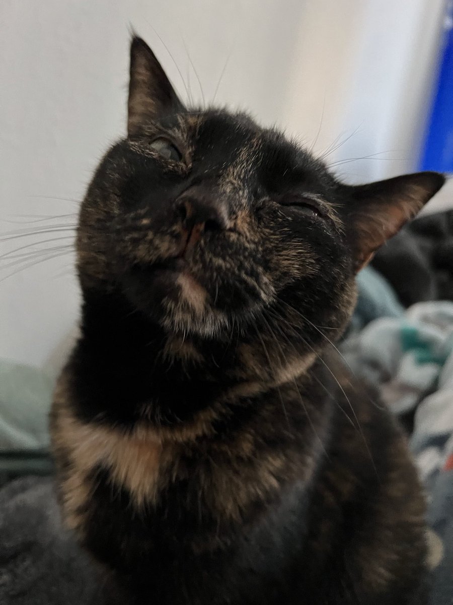 thetransportcr's tweet photo. but she's my ridiculous https://t.co/HF0KjbIEnD