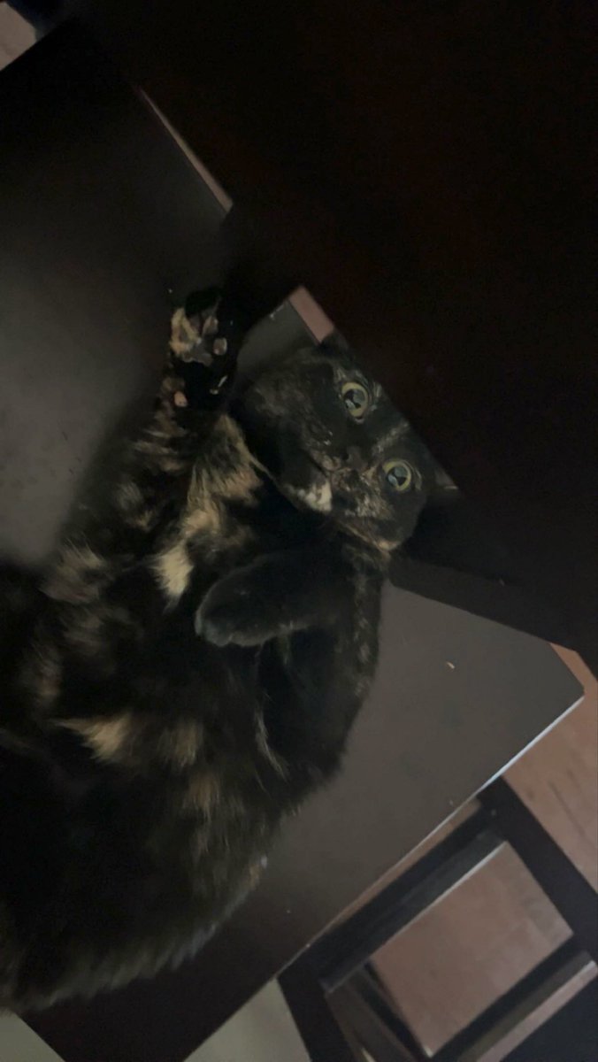thetransportcr's tweet photo. but she's my ridiculous https://t.co/HF0KjbIEnD