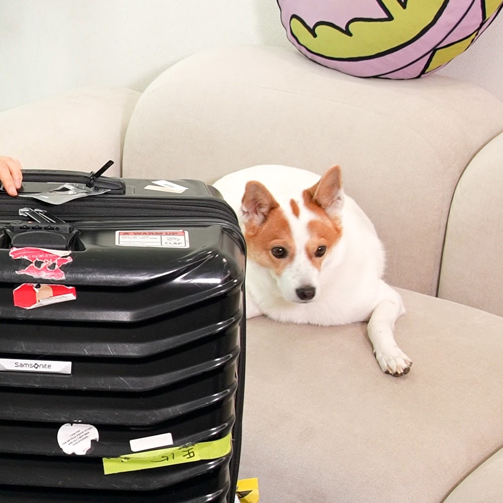 solarteam221's tweet photo. 📷📝 SOLARSIDO POSTS

Hello, Yongwangnims~
This is PD Yesol☺️

The most exciting yet bothersome..
Packing your suitcase!!

I’m the type to pack my suitcase
right before I leave, against the clock..ㅠ
But what about Solar?
What kind of way will she pack her suitcase!

#SOLAR #솔라 https://t.co/9O4cNQ3zaX