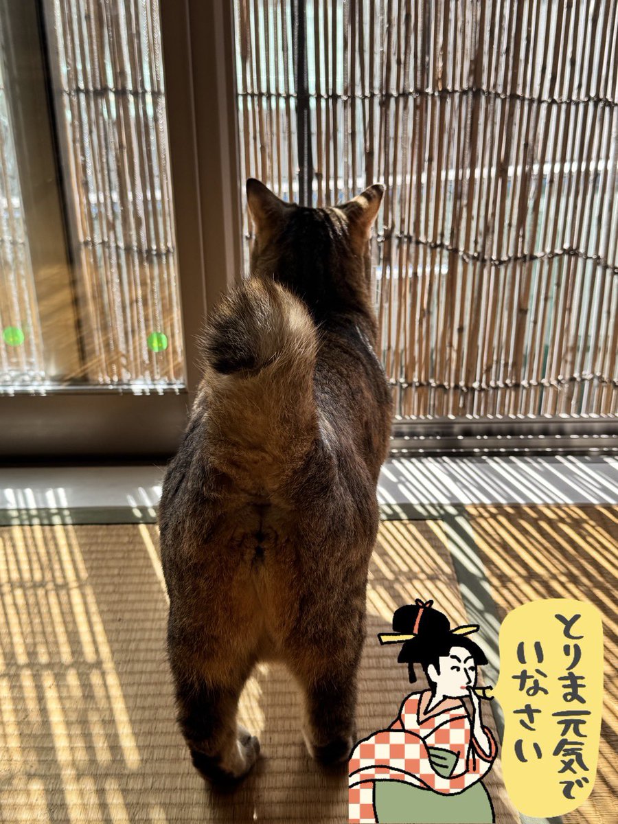 izutorarin tweet picture