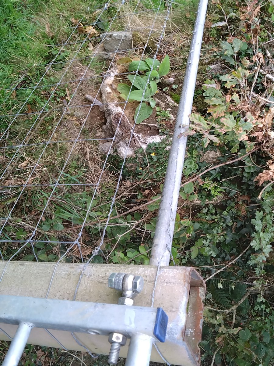 CoombeAdrian's tweet photo. Has anyone else had the council take the barbs off wire around a footpath gate?
What really annoys me is it my fence and I've had no notification that they were going to do it.
I can't see anywhere that they have the right to do this. @NFUtweets https://t.co/T5OX9iMAdO