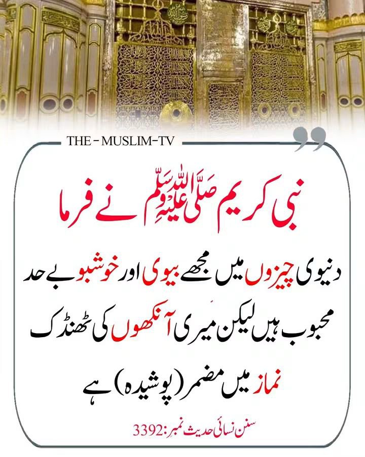 Ajmal_804's tweet photo. رسول اللّٰہ ﷺ نے فرمایا https://t.co/JwCiEKEHrv