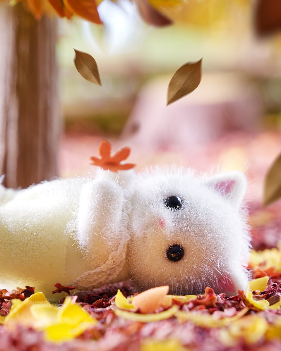SylvanianJP's tweet photo. 「ふかふかだぁ～！」

落ち葉のじゅうたんを見つけた、ペルシャネコのライアン🍁

寝転がってみると、ふかふかだったみたい✨

とっても気持ちよさそうですね♪

#シルバニアファミリー #シルバニア
#秋 #落ち葉 #シルバニア赤ちゃん https://t.co/Y2W3mipT1W