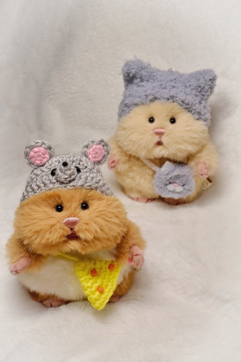hmngi01's tweet photo. ひゃ🐀🧀🐈‍⬛ https://t.co/spBVfzck27