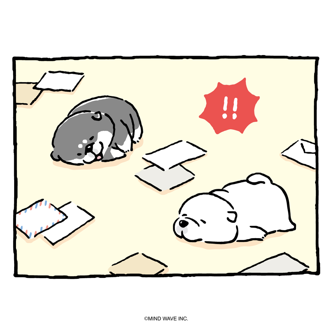 shibanban_mw's tweet photo. 事件現場

#しばんばん #柴犬 #ミステリー記念日 https://t.co/u6qmKZR5CZ