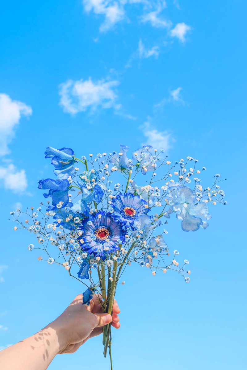 Noah_photobook's tweet photo. お花に癒されたい人に届きますように。 https://t.co/yLyvybjqlt