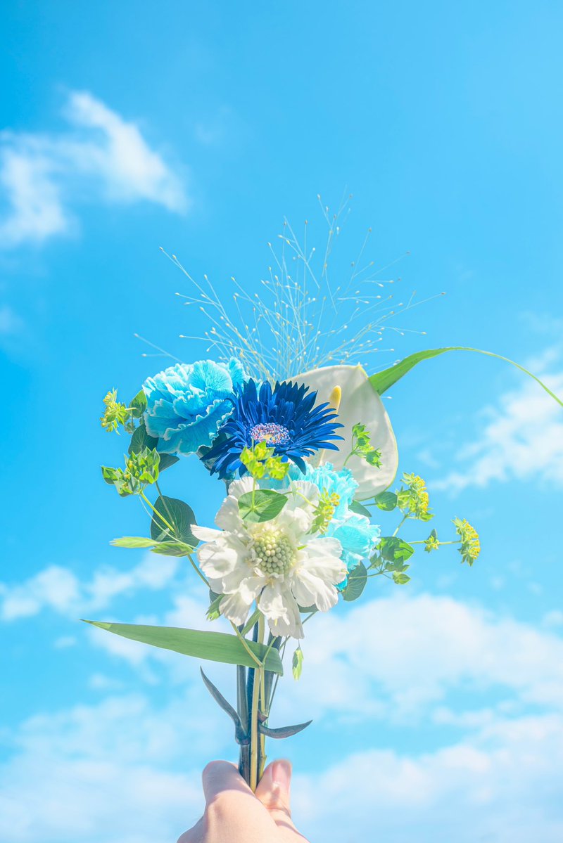 Noah_photobook's tweet photo. お花に癒されたい人に届きますように。 https://t.co/yLyvybjqlt