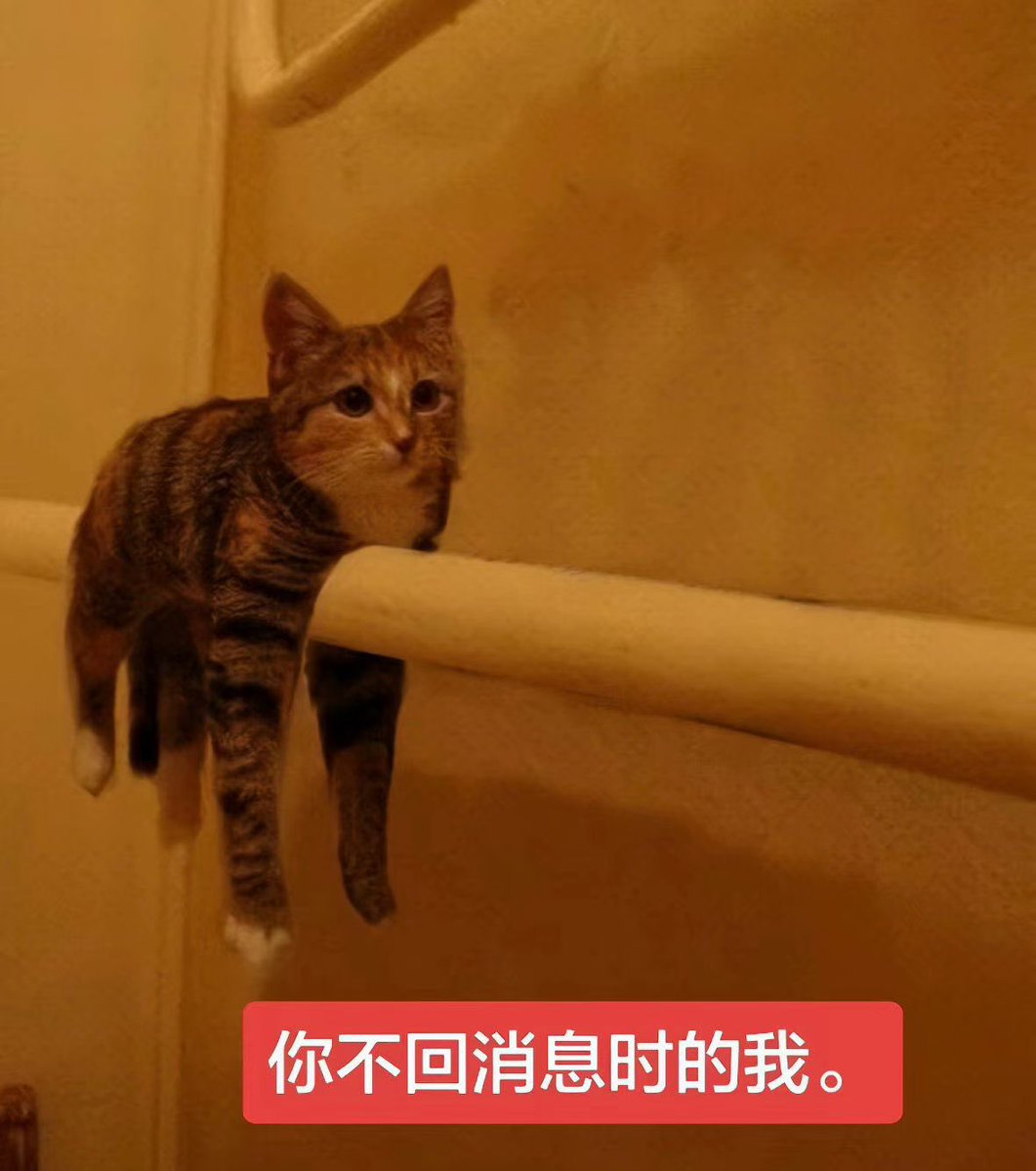 yangxu2007's tweet photo. 有时候会因为自己在主奴关系里占有欲太强而感到愧疚。。我只是一个需要专属小狗陪伴的主人呀… https://t.co/hkP1CV0ijj