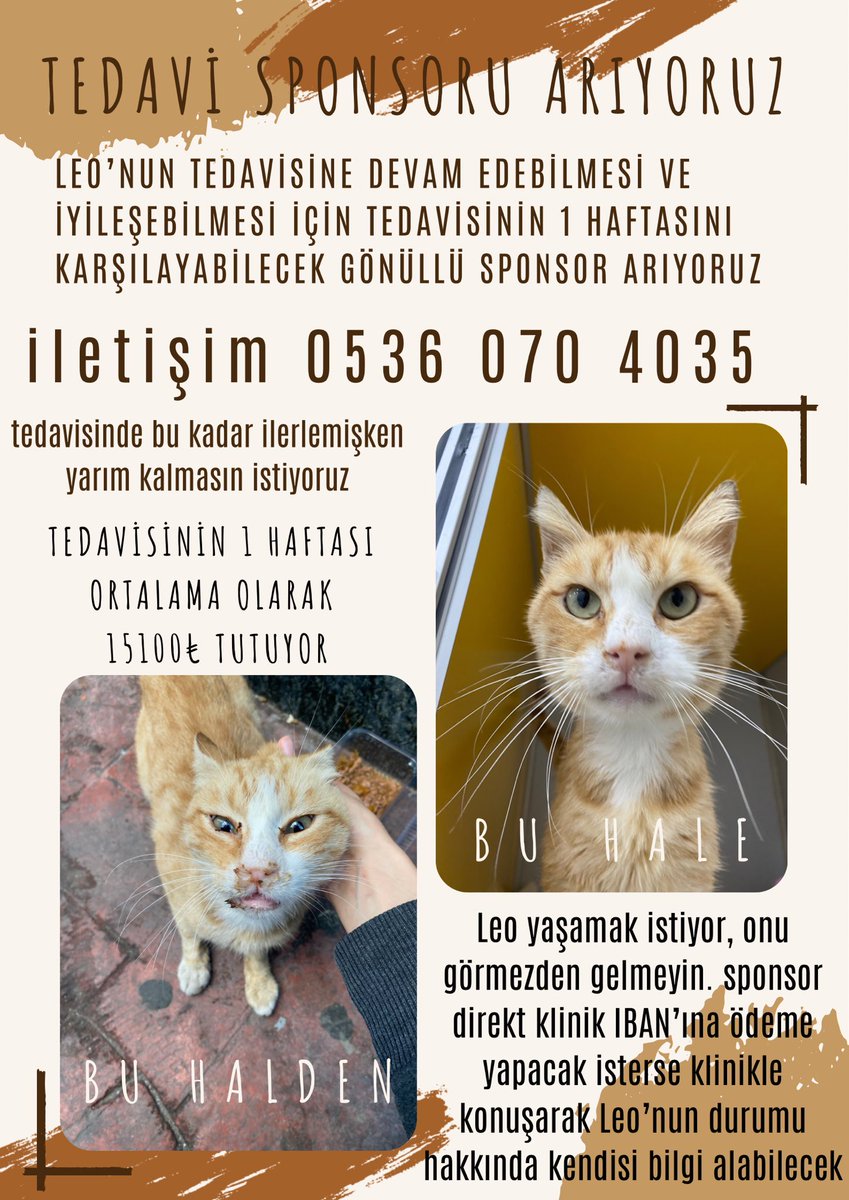 womanchildanima's tweet photo. Leo için sponsor arıyorum
tamamını karşılayacak sponsor bulamam diye düşünüyorum o yüzden
🚨1 haftasına sponsor olacak gönüllülere ulaşmamız lazım, haftalık 15bin
ödeme klinik IBAN'ına yapılacak
hekim tedavinin uzayacağını ve az destekle ilerleyemeyeceğimizi söyledi

@patigangs https://t.co/ZhxdipxwtV