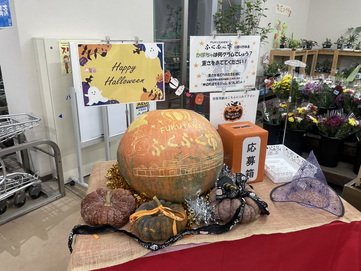 junretsu_gogami's tweet photo. コンサート終了後お買い物。
『FUKUYAMAふくふく市』にお邪魔しました。

地元の作物がたくさん。
無邪気に新鮮なお野菜に興奮する白川さん。

生活圏にこんなお店あったらたまらないよなぁ。 https://t.co/4uPBoMuztj