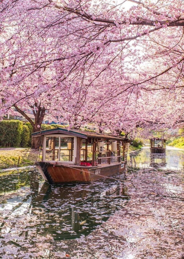 madisonY4LIhyd4's tweet photo. Timeless joy in simple life inspiration 💥 embracing every small step on the journey calm and centered. 📸 https://t.co/7bMZt0zgQN