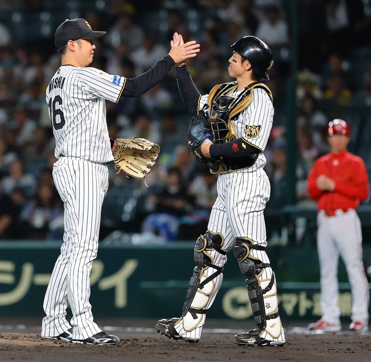 NikkanNaruohama's tweet photo. ２回１死まで投げて交代となりました。ラストマウンド。まだまだ投げられそうにも見えますがご本人の決断です😢
名コンビだった捕手の梅野隆太郎選手のほか、この試合ではドラフト18年組の近本光司選手、木浪聖也選手、小幡竜平選手がスタメン。
阪神入団の「同期」です✨️
#西勇輝 https://t.co/QXFVCLulGa