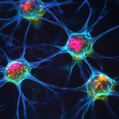 NightSkyToday's tweet photo. JUST IN🚨: Neuroscientists discovered something shocking: your brain doesn't care if your thoughts are true... it just believes whatever you think on repeat https://t.co/xsw0C3C8vo
