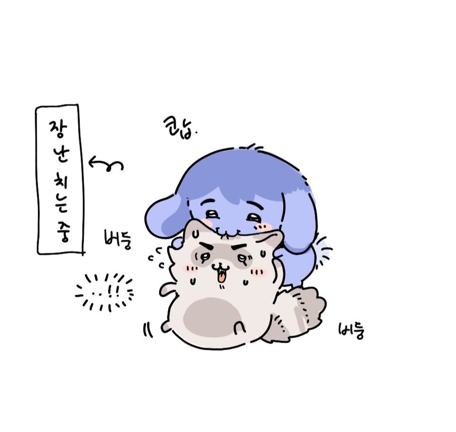 Shark__724's tweet photo. 먼작귀 긍구리와 칭구들
🐰🦦🐹🦝🐈‍⬛ https://t.co/87Irvucqn6