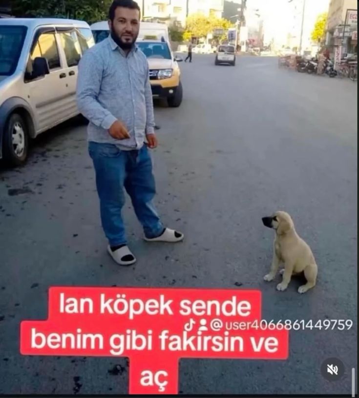 liberalverso's tweet photo. taymda hic tanismadigimiz kisiyi kendimize yakin buldugumuz icin attigimiz mentler https://t.co/sRKIUbkvrT
