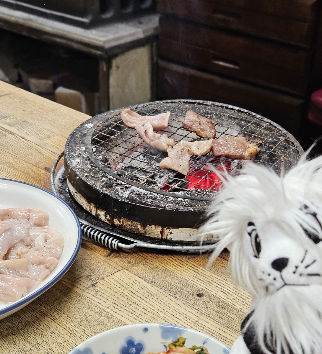 Cheesemegane's tweet photo. せんべろ祭りやよ https://t.co/ERaTpBEupq