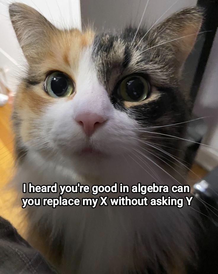 Meowversetwt's tweet photo. https://t.co/K2l8Go86ab