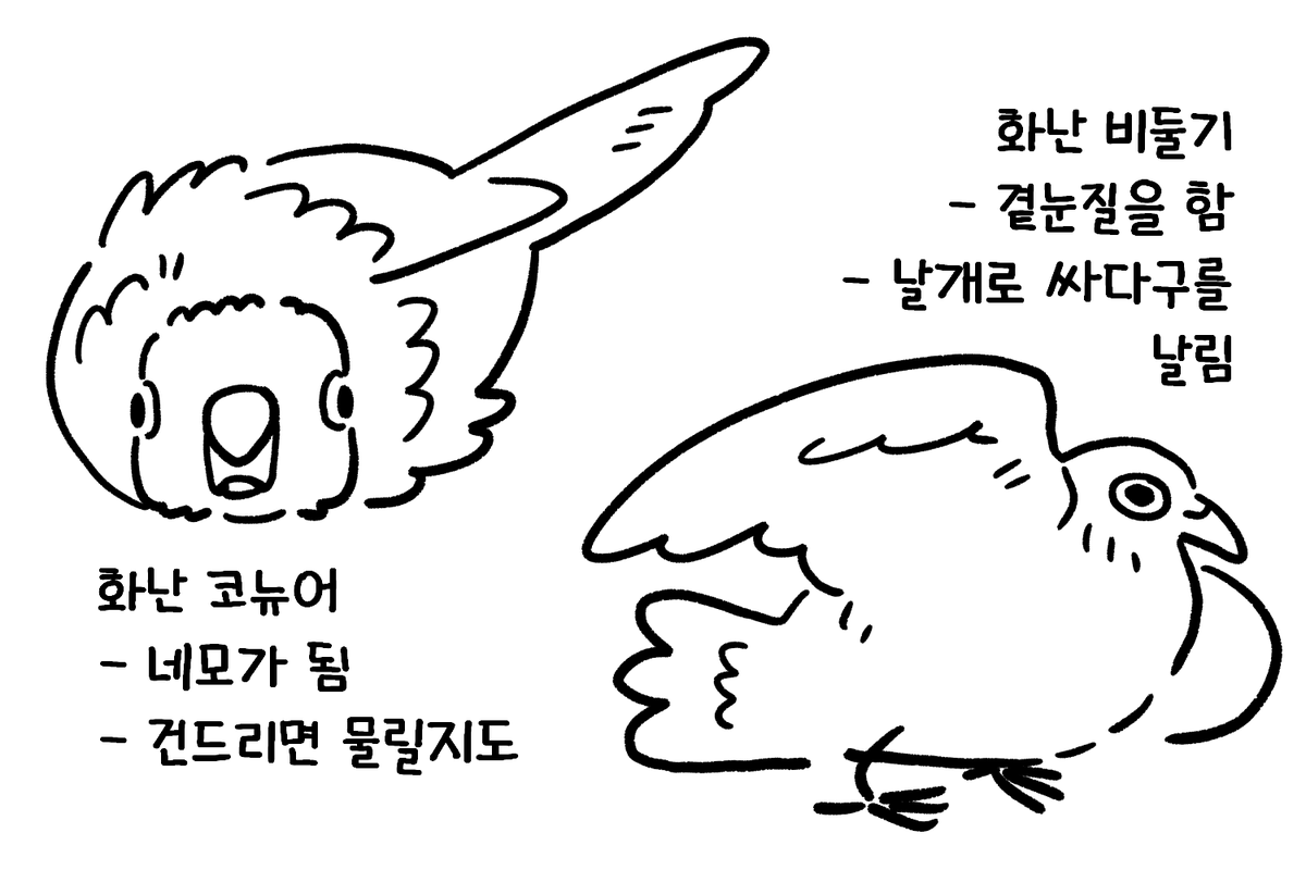 drawing_parrot's tweet photo. 그냥 화난 새들이 귀여워서 (영상으로) 관찰함 https://t.co/KctGXnMf1h