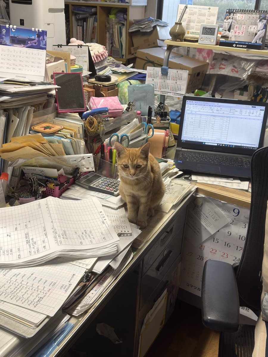 hiro_S45_727's tweet photo. @4shiduki6 https://t.co/uCZ7GMPWtx