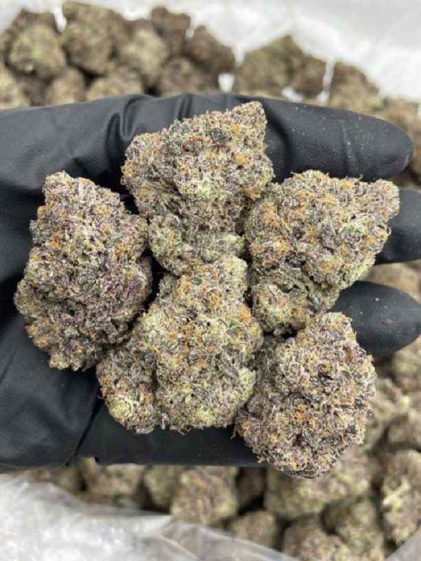 GreenDistrmqqt's tweet photo. Peanut Butter Zkittles indoors 🥜 🧈 

Sticky terpy bag with lots of color! Great structure with a fire mix of peanut butter runtz &amp; zkittlez noses! 🔥 

📦1450 P
📦650 hp
📦300 oz

🛒📋 -> Stickyfields https://t.co/ys9OzRdcwS