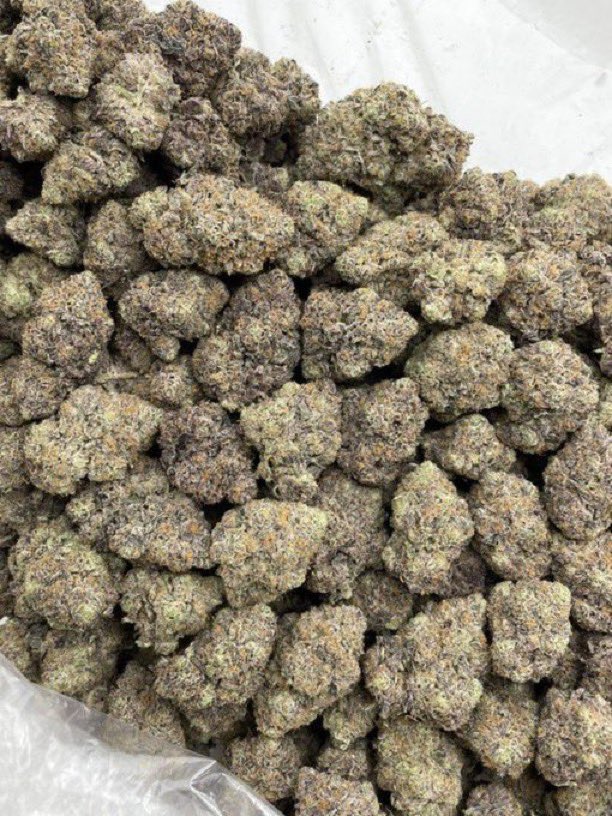 GreenDistrmqqt's tweet photo. Peanut Butter Zkittles indoors 🥜 🧈 

Sticky terpy bag with lots of color! Great structure with a fire mix of peanut butter runtz &amp; zkittlez noses! 🔥 

📦1450 P
📦650 hp
📦300 oz

🛒📋 -> Stickyfields https://t.co/ys9OzRdcwS