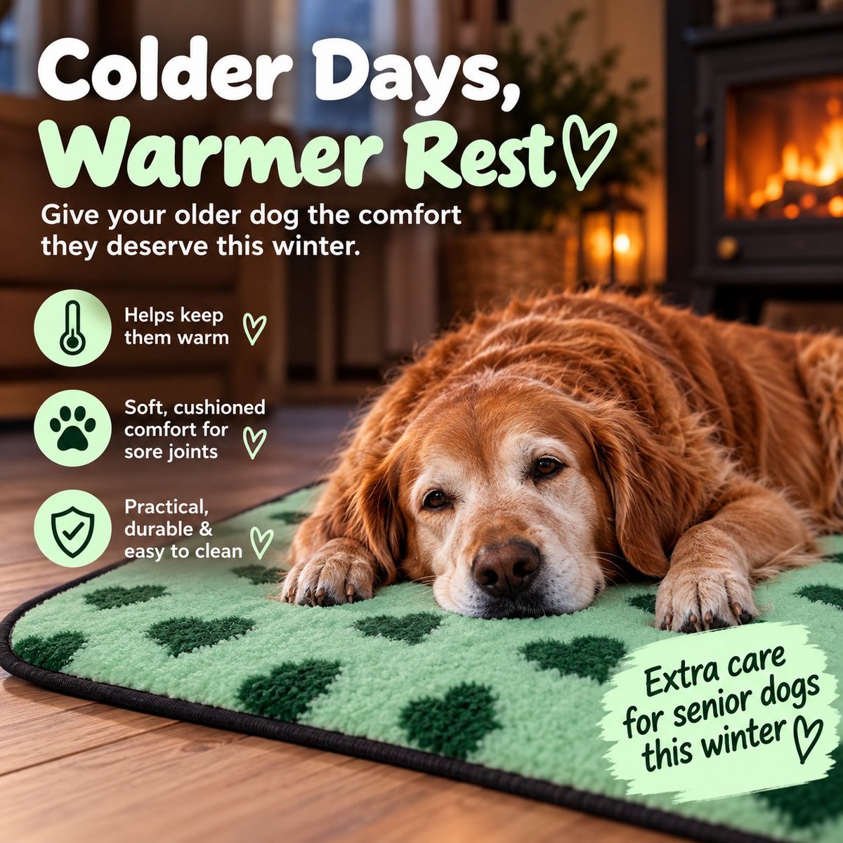 petnhome's tweet photo. Treat your senior dog to comfort as the days get colder ๐พ
https://t.co/kGI7liU3fv
#PNHVetBedding #VetBed
#SeniorDogs #OlderDogs #Dogs
#Comfort #Warmth
#BoundEdges #LooksGood
#MHHSBD https://t.co/u04iFT9obX