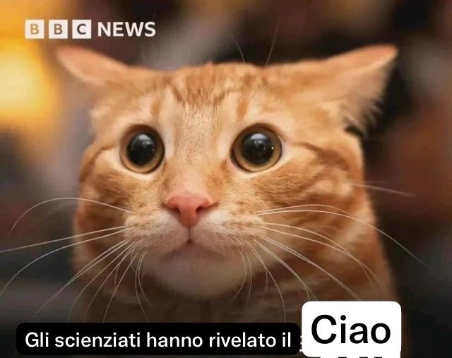 fr5nc2s's tweet photo. Ciao https://t.co/2Bcu84sH7A