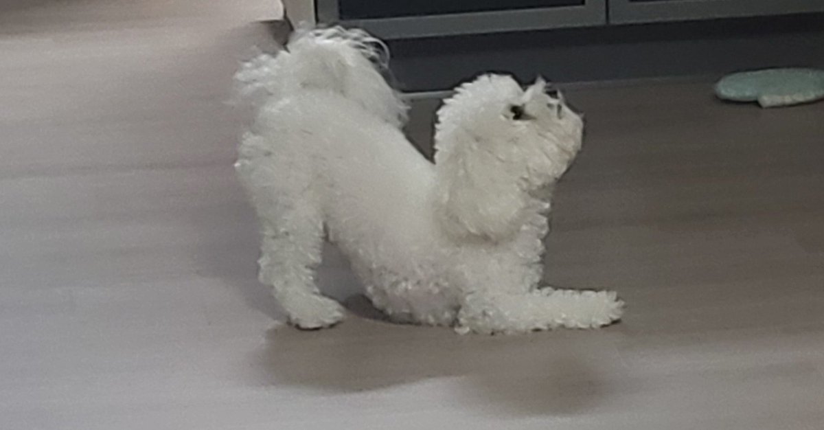 yzxyam's tweet photo. 너 뭐해...? https://t.co/94VrwZOvYH