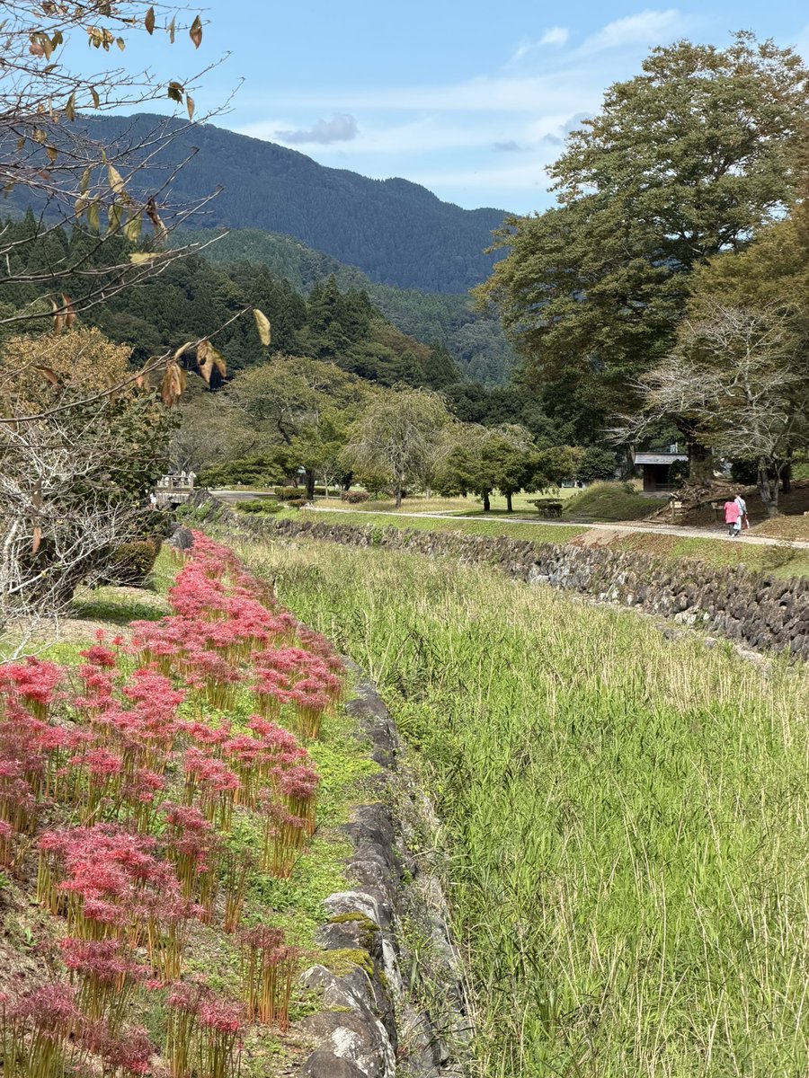 Coopercarco's tweet photo. ちょっとした聖地巡礼。ポスターもあったね。 https://t.co/Adh5aEMR51