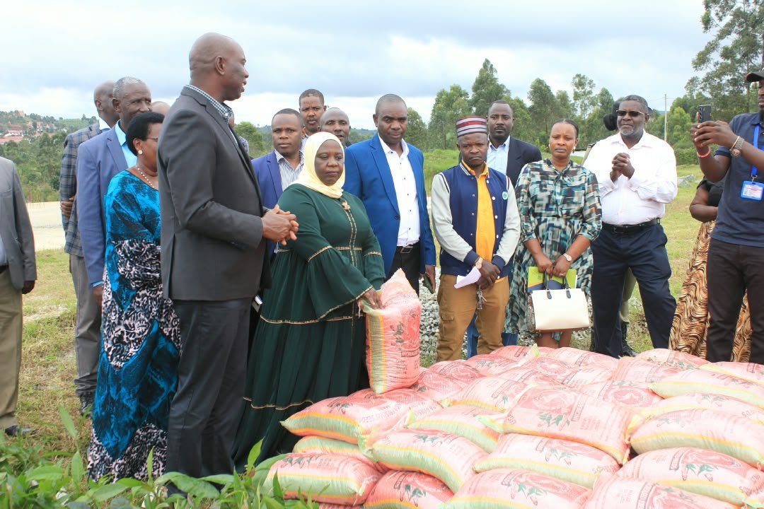 NicholusAr65109's tweet photo. Sheema municipality MP @HonKateshD has delivered Over 3000 mango and jackfruit seedlings to Sheema municipality leaders led by Mayor Nakalisa Lukia Mayor Sheema municipality. These trees are projected to act as wind breakers reflecting on recent wind destruction in the area. https://t.co/R3wpQXWHvA