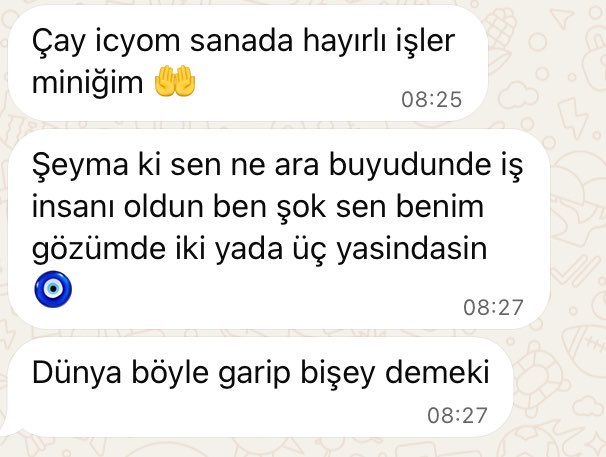 dalseymaa's tweet photo. iş insanı yaniii şeyma dal. evet ailecek imla kurallarını bilmiyoruz. biz böyleyiz…👍🏻 https://t.co/MkGVzRMFp1