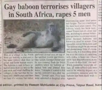 bienview740's tweet photo. @Shadaya_Knight The anus of Africaaa https://t.co/fxZWTCX7DQ