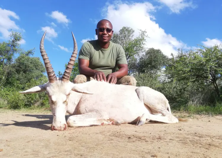 africanfarming_'s tweet photo. 🦌 ‘Black hunters deserve land, not the back of a bakkie’

An open letter to the President raises questions about land, hunting and who gets to participate in the industry.

👉🏾 https://t.co/wcMR1XIdW2

#LandReform #Hunting #WildlifeIndustry #Agriculture

https://t.co/47NWFMHFyd

@CyrilRamaphosa