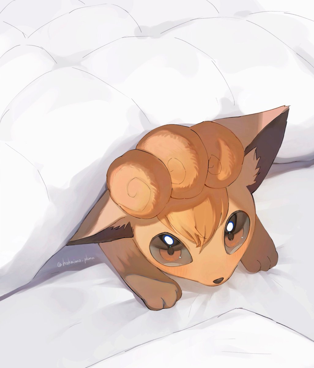 hokaimo_pkmn's tweet photo. お布団を温めておいてくれるロコンちゃん https://t.co/IxRD7YaZF2