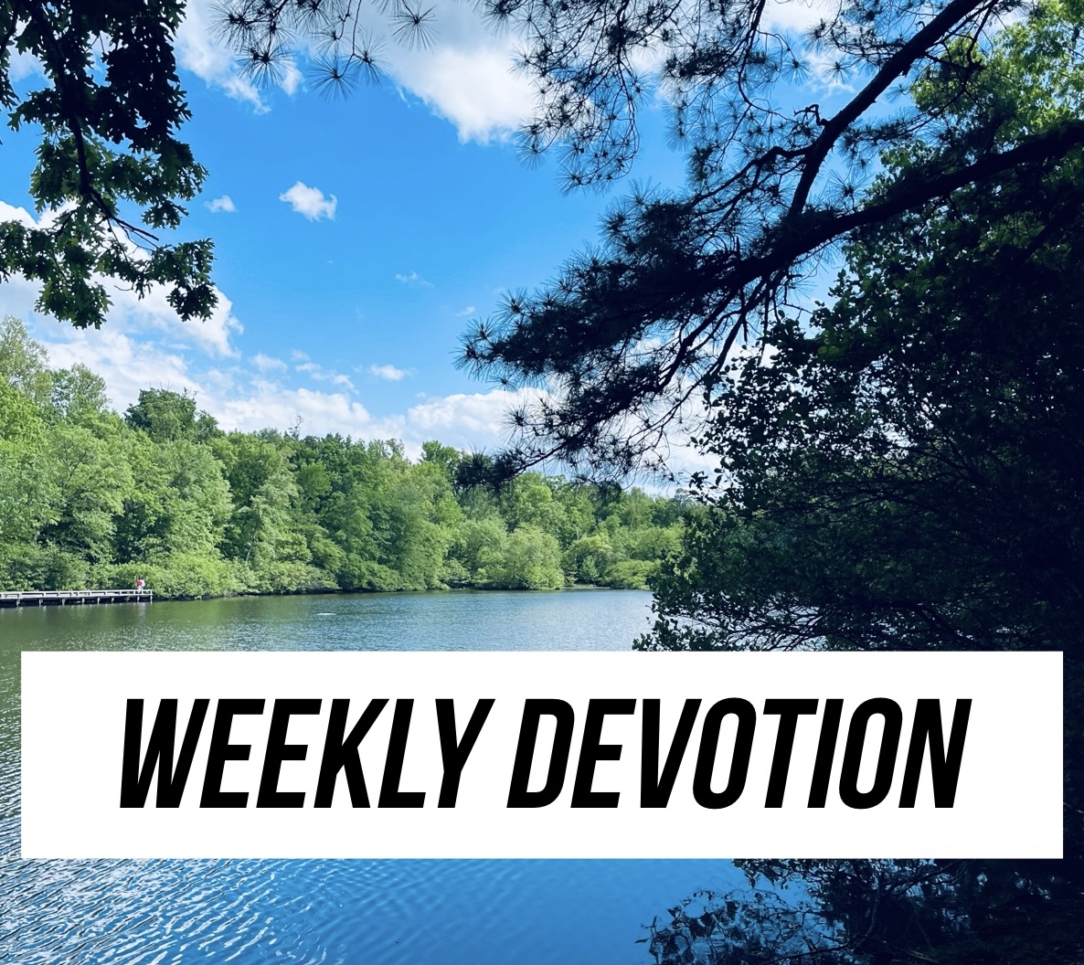 rickmcdaniel's tweet photo. Sometimes we go through painful experiences. We don’t understand why. We’re embarrassed and miserable. We can’t see how any of it can turn out for good. Read this week's devotion below and see how God can use a test to produce an incredible testimony.

Rising From a Fall

“We know that God is always at work for the good of everyone who loves him”
—Romans 8:28

Bert Smith is a college basketball official who passed out during the men’s NCAA regional final between Gonzaga and Southern California. I was watching the game on television and thought he was dead.

All of a sudden Smith was unable to run the court, he couldn’t catch his breath, he started feeling wobbly. And the next thing you knew he was looking up at the ceiling of Lucas Oil Stadium.

At 6'3" and 195 pounds Smith is in good shape. Officials run at least four miles every game. He trains year-round on a treadmill or stationary bike. He will take the stairs when others use the escalator.

Smith spent two hours getting treatment at the stadium. His vitals were normal – pulse, blood pressure, oxygen level. He was no longer wobbly and didn’t have blurry vision. But just to be safe he went to IU Health Methodist hospital. They determined he did not have a concussion.

But Dr. Katie Trammel saw the fall and she wanted to know why he fell. She put Bert through a battery of tests and they found out what was wrong. Bert Smith had a blood clot in his lung. And who knows where the clot might have gone next?

Smith was put on blood thinners and two days later the clot was gone. But what if he passed out while driving or sleeping? Instead, it happened in an arena where there were medical personnel.

Smith hates that he passed out on national television. And that he missed officiating an Elite Eight game. But he knows how fortunate he is to have found out about the clot before it ended up potentially killing him.

Romans 8:28 tells us, "We know that God is always at work for the good of everyone who loves him." It was embarrassing for Bert Smith to fall like a tree, his body prone and unmoving. But that night likely saved his life.

Sometimes we go through painful experiences. We don’t understand why. We’re embarrassed and miserable. We can’t see how any of it can turn out for good. But God may be sparing us even greater suffering.

He may be redirecting us to a much better place. God can use the test to produce an incredible testimony. He may ultimately save us so we can gain a better perspective.

It may not look good right now. But God will work it out for your good.