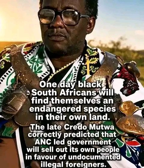 lyllakhey's tweet photo. South Africans we are not angry enough. https://t.co/blK6ZZmOTK