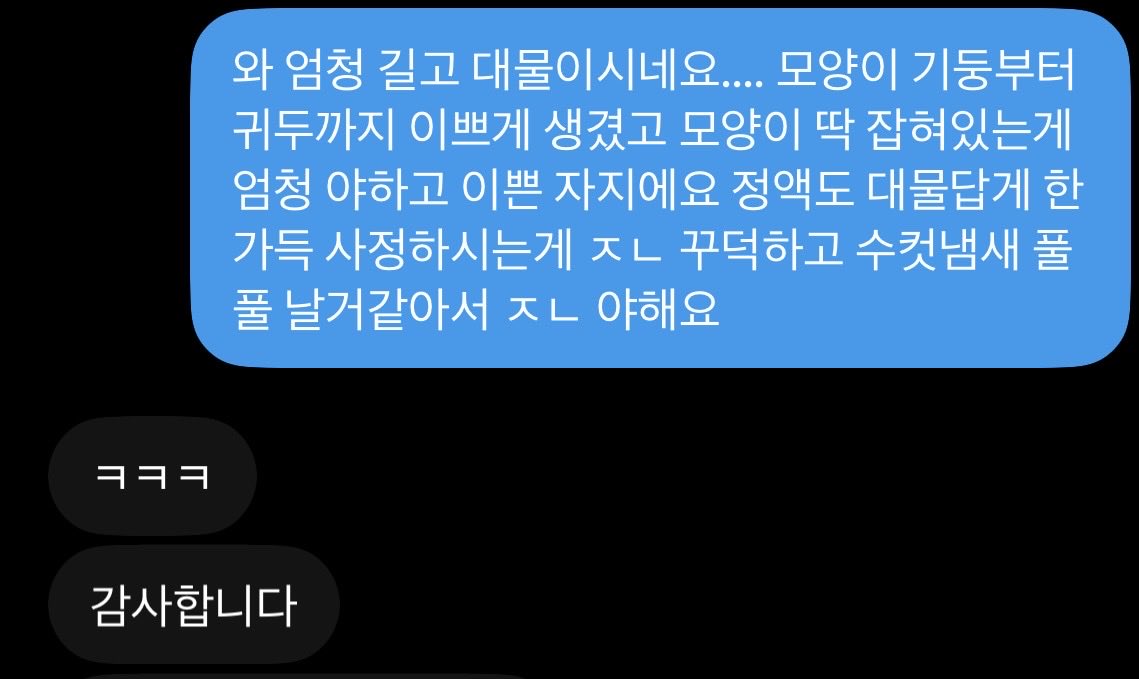 pyeong_00's tweet photo. 본것중에서 사정하는게 ㅈㄴ 야했던 자지
#꼬평 #보평 https://t.co/86KQrTzbS2