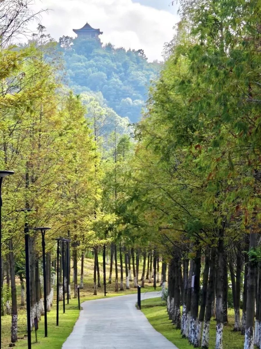 liyunxia0793's tweet photo. 国庆打卡信州：一碗炒粉，满城红旗，遇见山水烟火 https://t.co/0dd45PIBZv