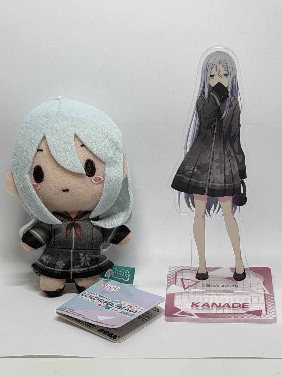teba_everyday's tweet photo. 今日の戦利品たち
ニゴミクがめっちゃかわいい…
合計で5000円ほどでした https://t.co/2Mr2gZxWtL