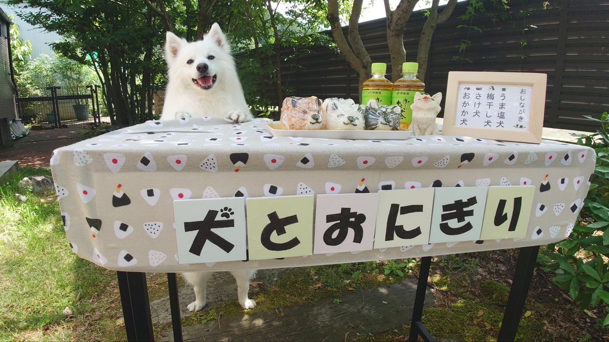 kukuri_shibainu's tweet photo. 最高の笑顔で接客されるおにぎり屋さんごっこが楽しすぎました♡ https://t.co/L3RJNHuqVD