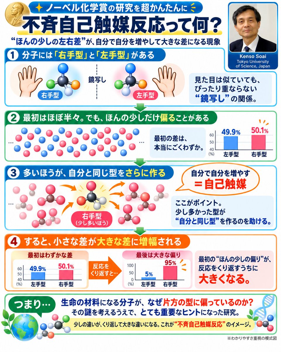ctyjo0's tweet photo. これは本当に素晴らしいニュース。

【2026年のノーベル化学賞に、東京理科大学名誉教授の硤合憲三氏】

受賞につながった【#不斉自己触媒反応】は、分子のほんのわずかな“左右の偏り”が、反応を繰り返すことで大きく増幅されていくという研究。

単なる化学反応の発見というだけでなく、
「なぜ生命を構成する分子は一方の型に偏っているのか」
という、生命の起源にもつながる非常に根源的なテーマでもある。

こういうニュースを見ると、すぐに結果が出るものだけが価値ではないと改めて思う。

長年、一つのテーマを追い続け、世界の常識や人類の理解そのものを一歩前に進める。

日本からこうした研究者が評価されるのは本当に誇らしい。

硤合憲三先生、ノーベル化学賞受賞おめでとうございます🇯🇵👏