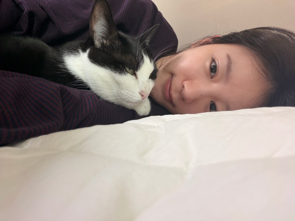 oony211's tweet photo. 왔다 내 한정선블루베리요거트찹쌀떡 https://t.co/n5SL0FSWEQ